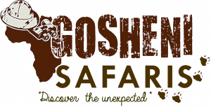 Gosheni Logo