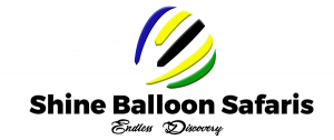 https://shineballoons.co.tz/